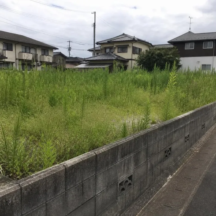 草が伸びた空き地(イメージ)