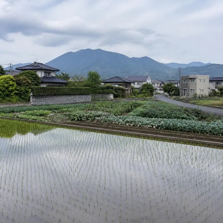 田畑が広がる郊外の土地(イメージ)